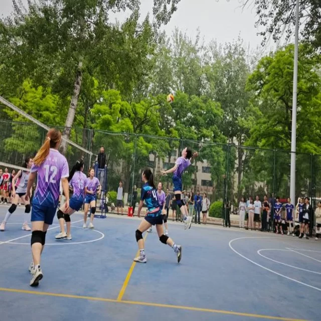 乒乓球冠军竞争格局的新趋势与数据解读分析